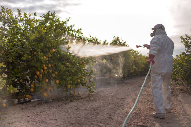 Best Rodent Control Near Me  in Cactus, TX