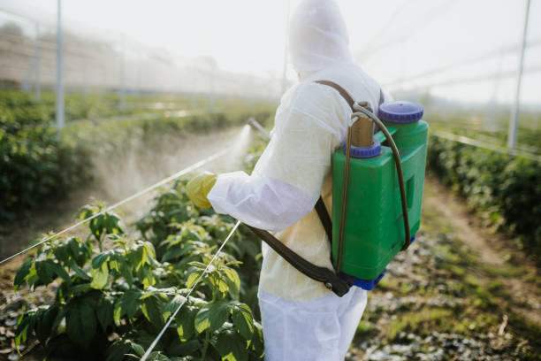 Best Best Pest Control Companies  in Cactus, TX